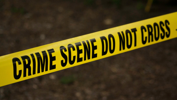 Hollywood Director Rob Reiner And Wife Murdered; Son Arrested For Crime